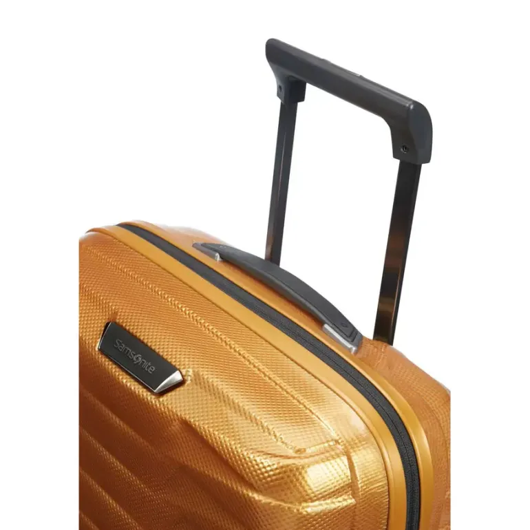 PROXIS CARRY-ON SPINNER