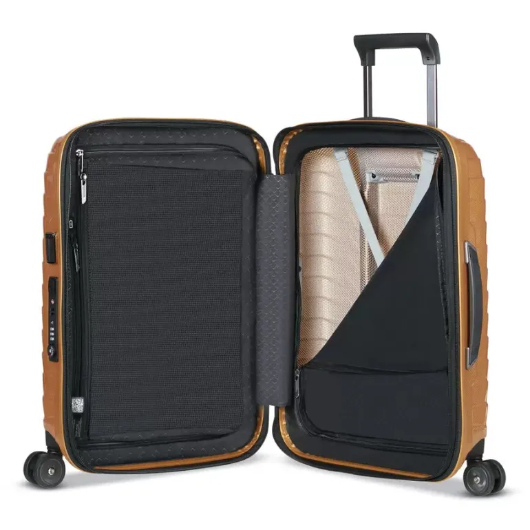 PROXIS CARRY-ON SPINNER