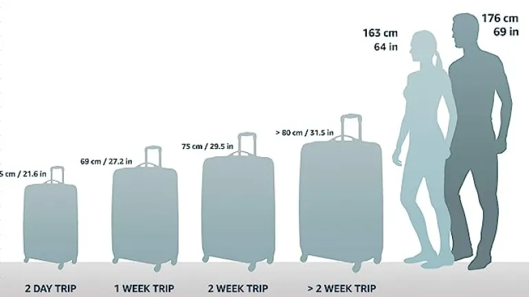 Samsonite Freeform 3 Piece Set 21|24|28 Inch Expandable Spinners (Navy