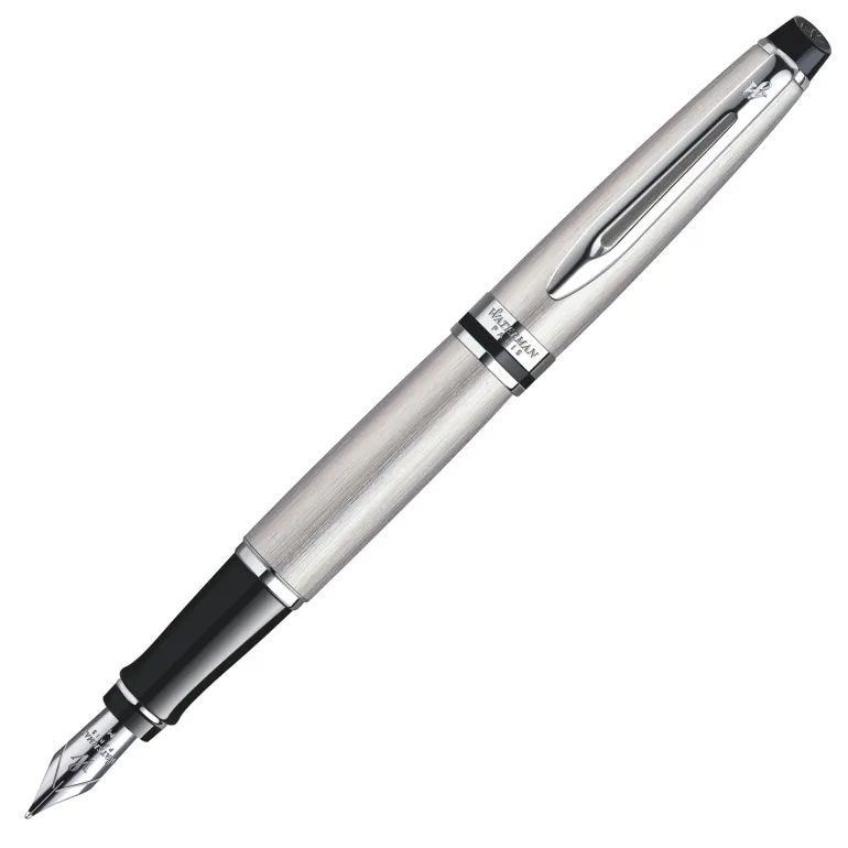 Waterman Expert Stainless Steel CT Fountain Pen Fine S0952040